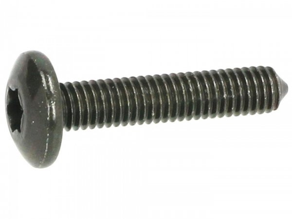 Screw Body Parts M6 X 30mm W/o Step Piaggio Torx Head