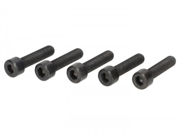 Allen Screw Set (5 Pcs) Din 912