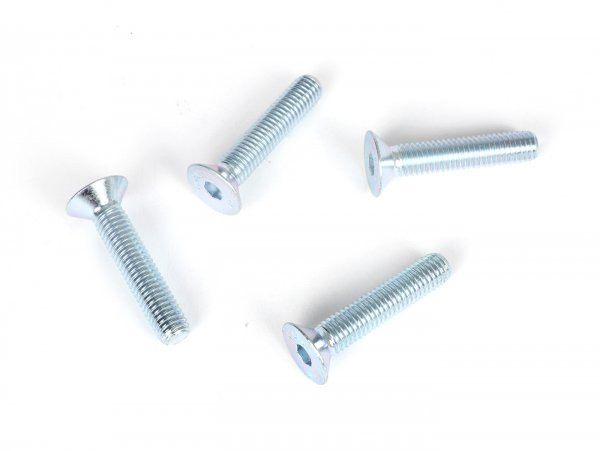 Screw Set BGM Pro Used For Disc Brake BGM Lambretta With Tubeless Rim Aluminium