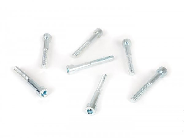 Screw Set Malossi