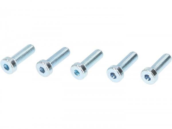 Screw Set For Front Wheel Hub 10" Vmc Racing V50 Style  Silver