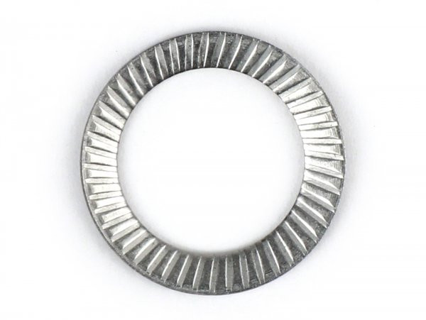Curved Washer (schnorr)