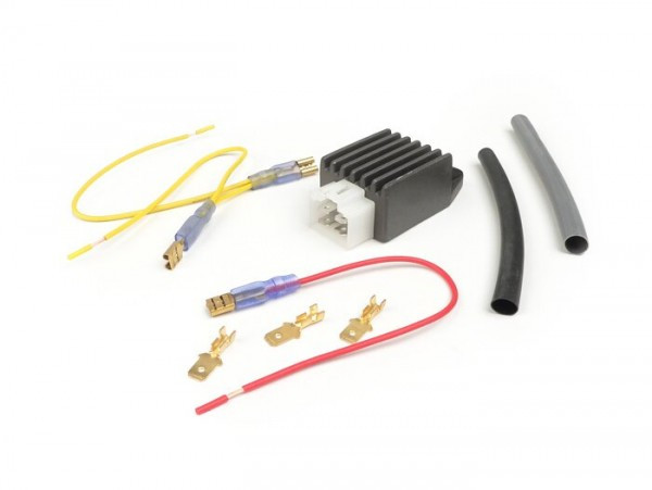 Voltage Regulator 4plug BGM Pro 6v Ac/dc Universal
