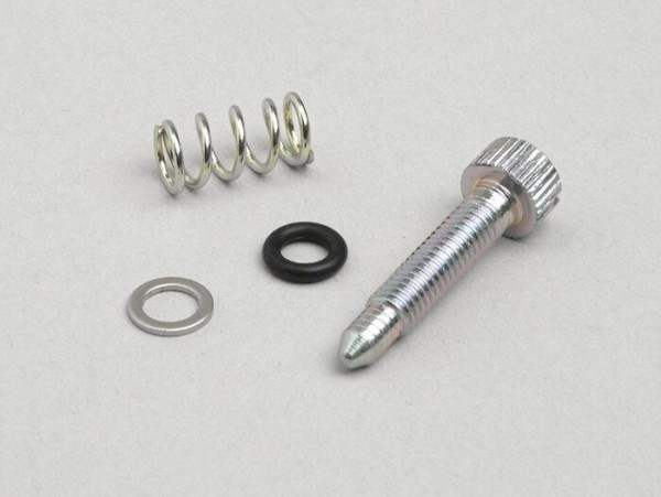 Idle Screw Dellorto