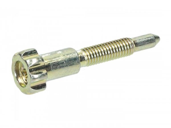 Idle Screw Dellorto