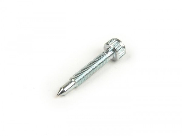 Idle Screw Dellorto