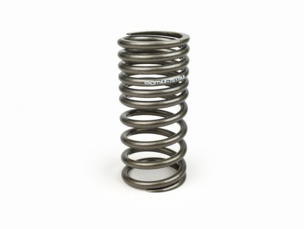 Front Shock Absorber Spring BGM Pro Für BGM Pro Sc/f16 Soft Progressive Vespa Pk  Grey