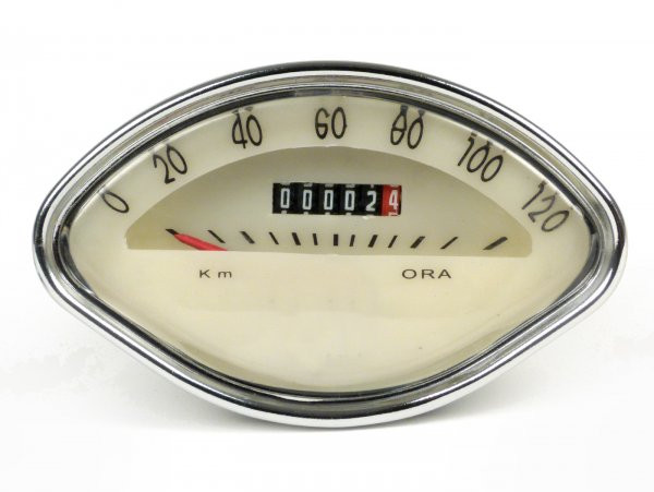 Speedo Made In India Shellshape