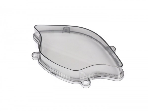 Speedo Glass   Transparent Grey