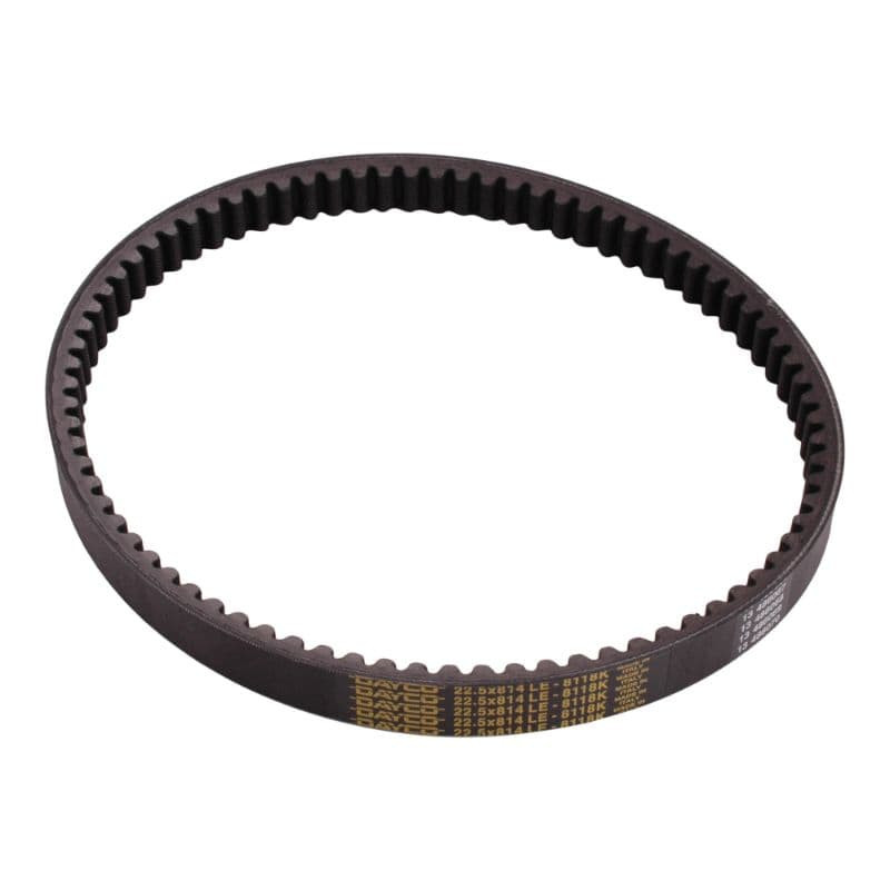 V-Snaar Dayco 814/22,5 | Gilera Runner 180