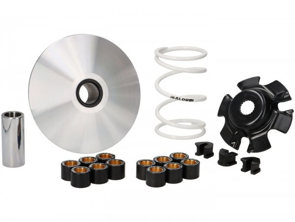 Variatorkit Malossi