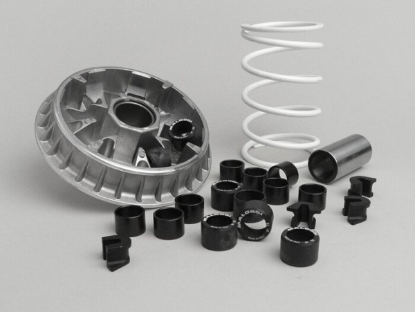 Variatorkit Malossi Multivar 2000- Piaggio Master 400500 Cc (since May 2004)  25x17mm (8x 15gr)