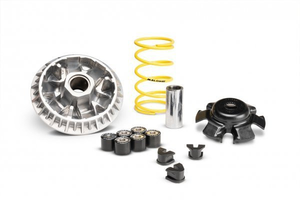 Variator-Kit -MALOSSI