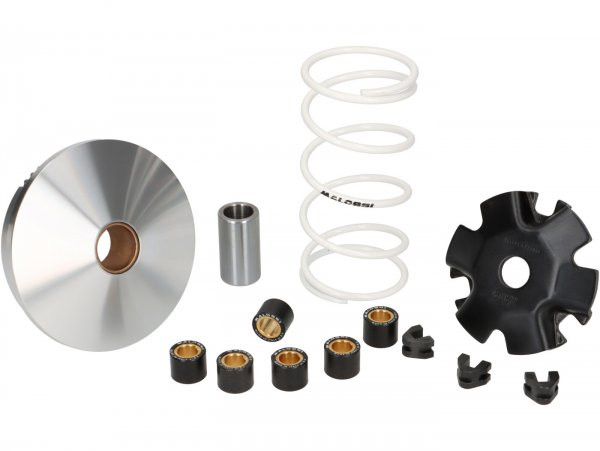 Variomatic Malossi Multivar  Bye Bike One
