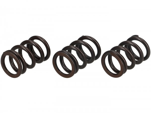 Valve Spring Set Malossi Piaggio 3v Iget 50 Ie 4t Euro5