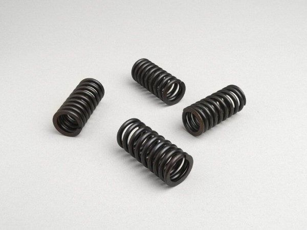 Valve Spring Set Malossi