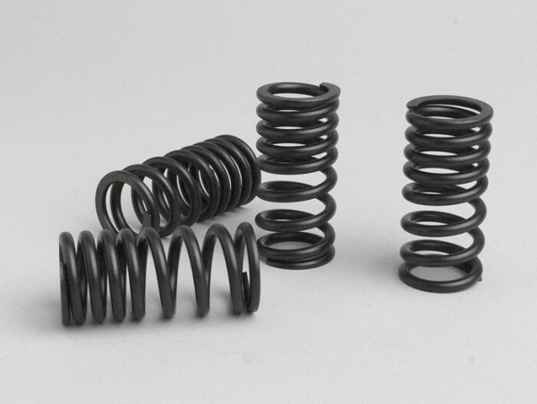 Valve Spring Set Malossi Piaggio Master 400500 Ccm
