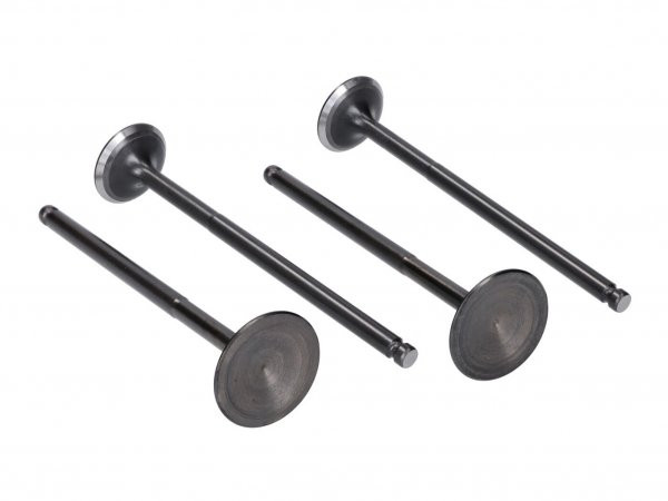 Valve Kit Cylinder Head Naraku