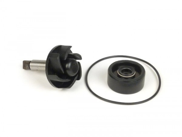Water Pump Repair Kit Minarelli 125180 Lc