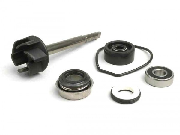 Water Pump Repair Kit Minarelli 400 Cc Lc