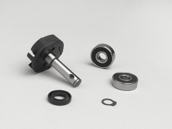Water Pump Repair Kit Minarelli 50 Cc Lc