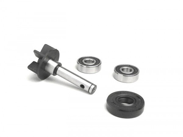Water Pump Repair Kit Morini 50 Cc Lc (type Katana 1st Series)