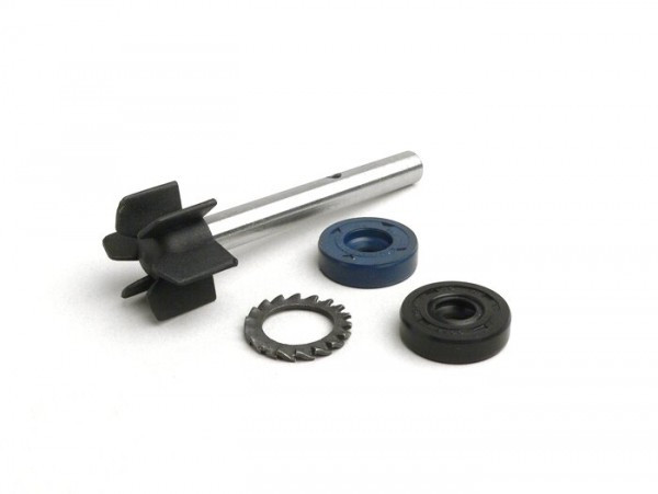 Wasserpumpenrevisionskit Roodax Aprilia Leonardo 125150 Cc (bj. 1996-1998)