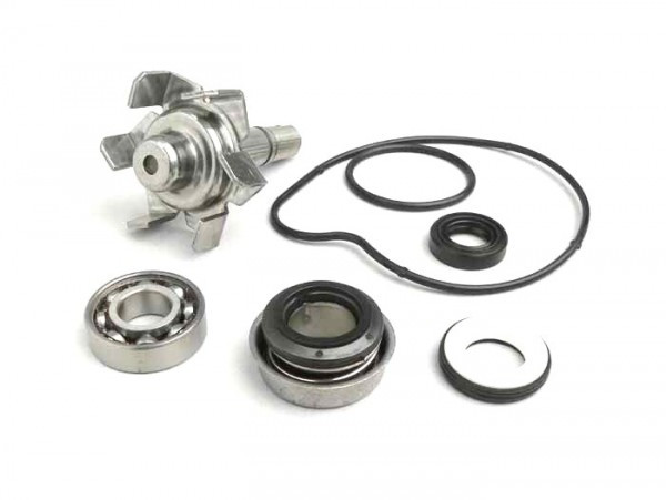 Wasserpumpenrevisionskit rms Yamaha 500 cc Lc (Type Tmax)