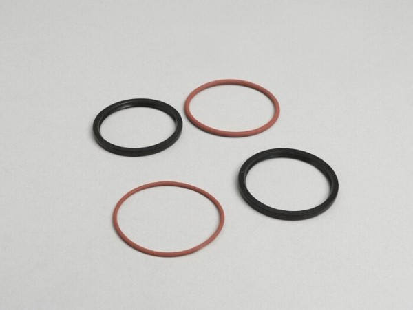 Oil Seal Set Polini Speed Drive
