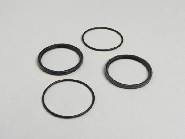 Oil Seal Set Polini Speed Drive