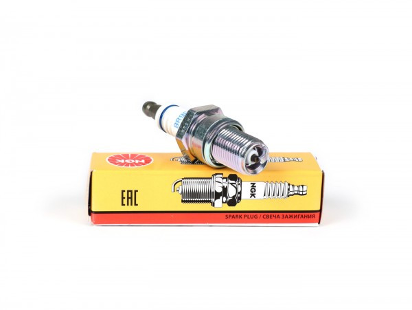Spark Plug Ngk Br Ecm Br9ecm