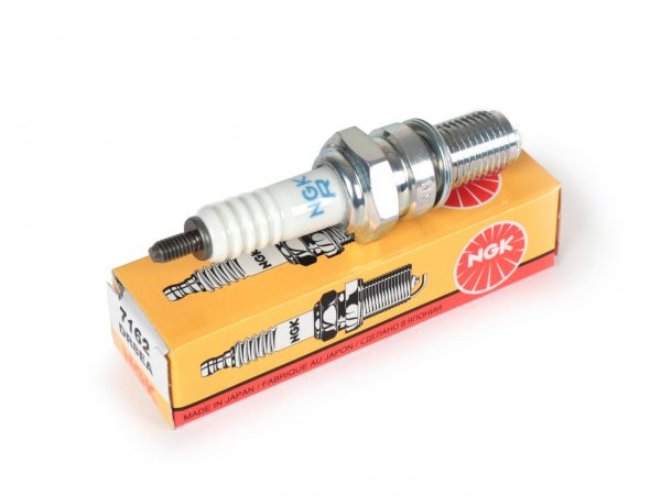 Spark Plug Ngk DR Ea
