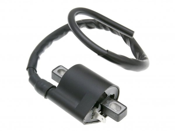 Ignition Coil 101 Octane 1 Pin