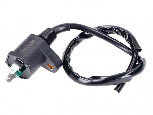 Ignition Coil 101 Octane