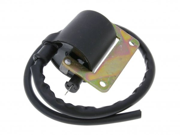 Ignition Coil 101 Octane