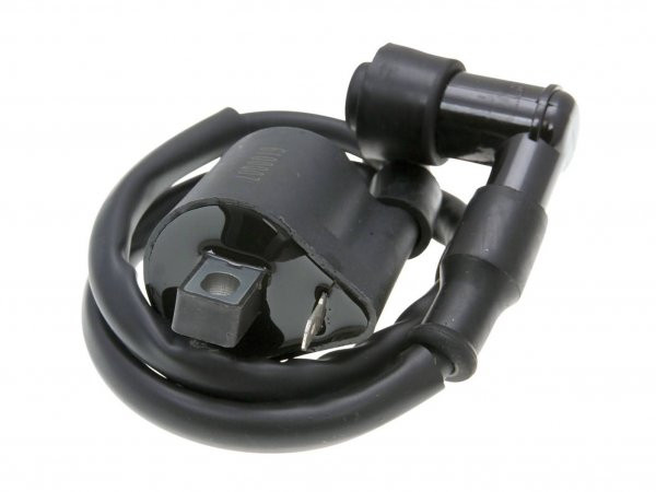 Ignition Coil 101 Octane