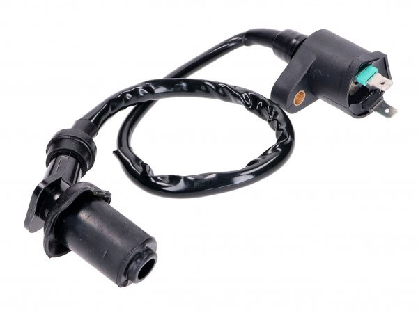 Ignition Coil 101 Octane With Spark Plug Cap