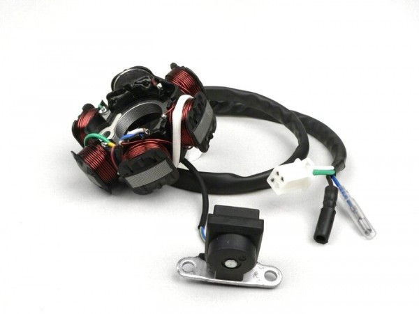 Ignition Oem Quality Stator  Type 2