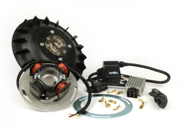 Ignition Pinasco Flytech 12v  1600g