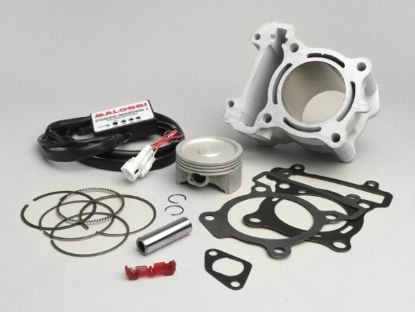 Cylinder Malossi 170 Cc Yamaha 125 Cc Lc Euro 3 (engine Type 1b9)