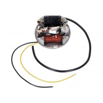 Ontsteking Stator -101 OCTANE