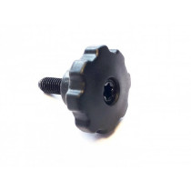 RändelSchroef voor Achterlicht piaggio (Vespa Modern)