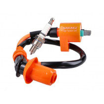 Ontsteking Upgrade Kit Naraku Bobine en Bougie Iridium voor GY6 139QMB