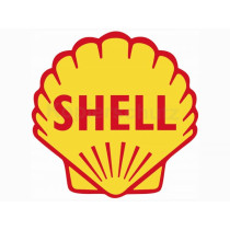 Sticker 80 X 80mm „shell“