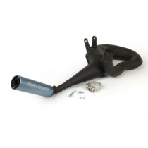 Exhaust Malossi Power Exhaust