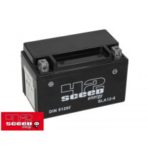 Battery Gel Sceed 42 Energy  150x87x94mm