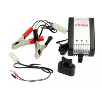 Battery Charger 2v, 6v, 12v Sceed 42 Energy Al800 0.8a  Automatic