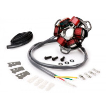 Ignition BGM Pro Stator Hp V4.5 Silicone Ac Lambretta Electronic Ignition