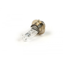 Light Bulb P15d  White