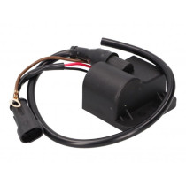 Cdi Unit / Ignition Coil Naraku